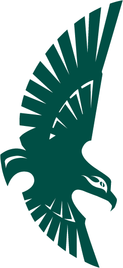 NC-Wilmington Seahawks 1992-2014 Secondary Logo iron on paper